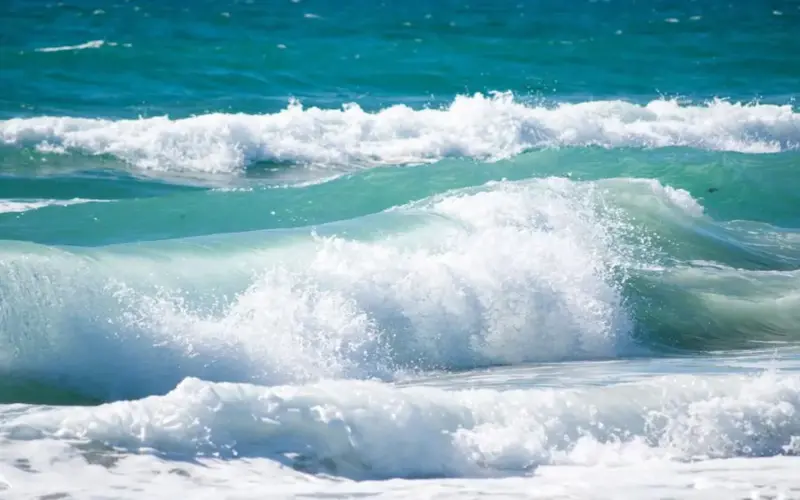 «عتاب الموج».. قصيدة تختبر صمود الخليج (فيديو)